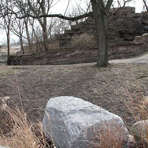 Detroit Zoo - Warthog enclosure