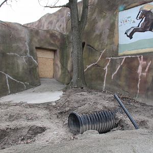 Detroit Zoo - Aardvark exhibit