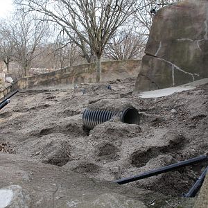 Detroit Zoo - Aardvark exhibit