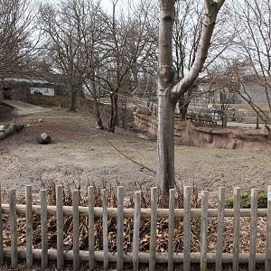 Detroit Zoo - Warthog enclosure