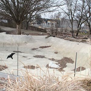 Detroit Zoo - Warthog enclosure