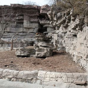 Detroit Zoo - Grizzly Bear exhibit