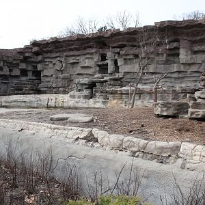 Detroit Zoo - Grizzly Bear exhibit