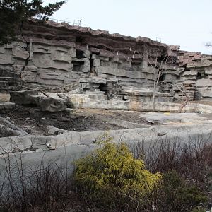 Detroit Zoo - Grizzly Bear exhibit