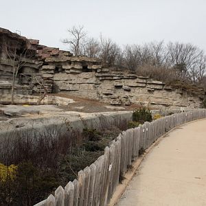 Detroit Zoo - Grizzly Bear exhibit