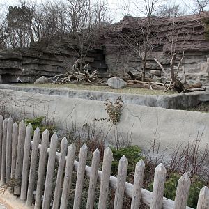 Detroit Zoo - Brown Bear exhibit