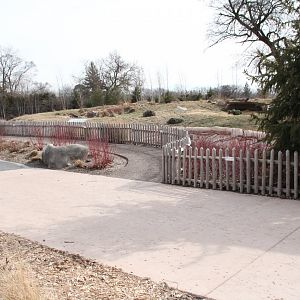 IMG_2445Detroit Zoo - Cotton Family Wolf Wilderness - Gray Wolves