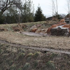 Detroit Zoo - Cotton Family Wolf Wilderness - Gray Wolves