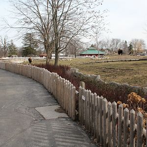 Detroit Zoo - Bison enclosure
