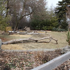 Detroit Zoo - Bald Eagle enclosure