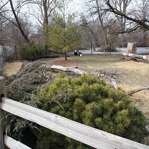 Detroit Zoo - Bald Eagle enclosure