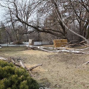 Detroit Zoo - Bald Eagle enclosure