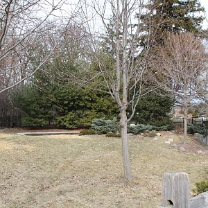 Detroit Zoo - Bald Eagle enclosure