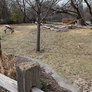 Detroit Zoo - Bald Eagle enclosure