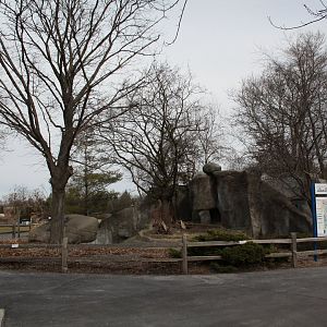 Detroit Zoo - Binturong enclosure