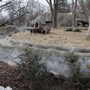 Detroit Zoo - Wolverine enclosure