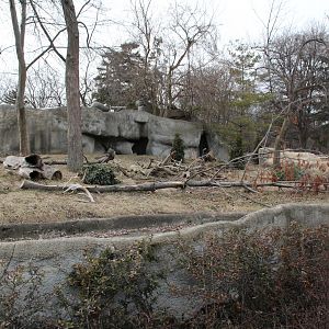 Detroit Zoo - Wolverine enclosure