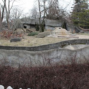 Detroit Zoo - Wolverine enclosure