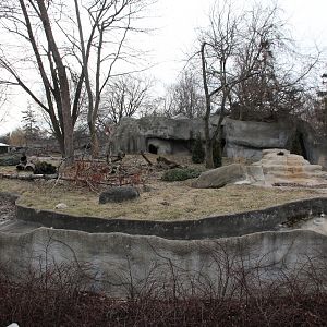 Detroit Zoo - Wolverine enclosure