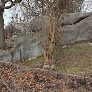 Detroit Zoo - Bush Dog enclosure