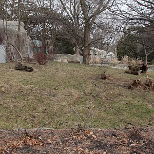 Detroit Zoo - Bush Dog enclosure