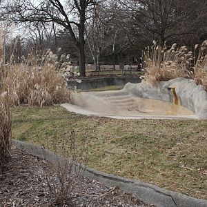 Detroit Zoo - Bush Dog enclosure