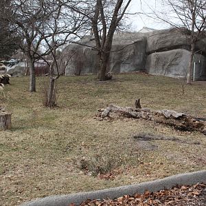 Detroit Zoo - Bush Dog enclosure