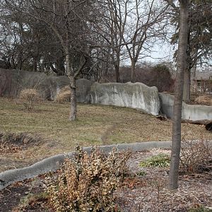 Detroit Zoo - Bush Dog enclosure