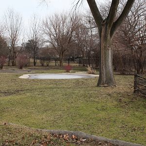 Detroit Zoo - (South) American Grasslands - Chilean Flamingos