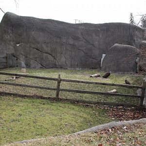 Detroit Zoo - (South) American Grasslands