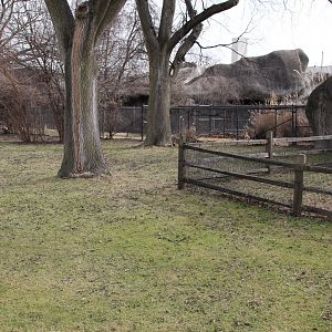 Detroit Zoo - (South) American Grasslands