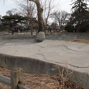 Detroit Zoo - Giant Anteater enclosure