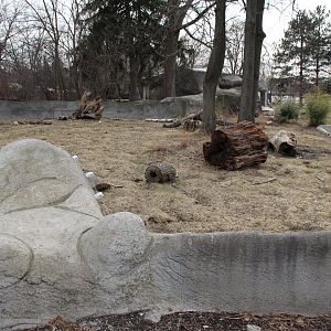 Detroit Zoo - Giant Anteater enclosure