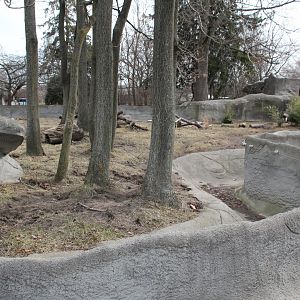 Detroit Zoo - Giant Anteater enclosure