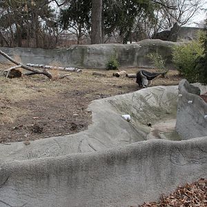 Detroit Zoo - Giant Anteater enclosure