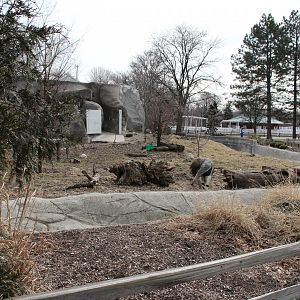 Detroit Zoo - Giant Anteater enclosure