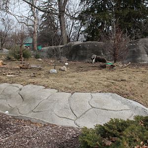 Detroit Zoo - Giant Anteater enclosure