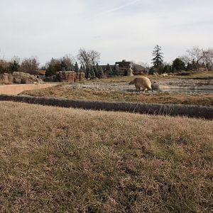 Detroit Zoo - Arctic Ring of Life
