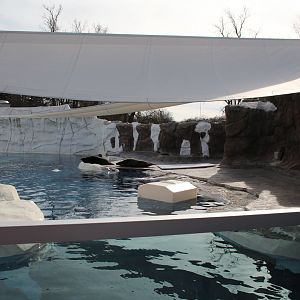 Detroit Zoo - Arctic Ring of Life