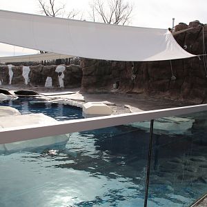 Detroit Zoo - Arctic Ring of Life