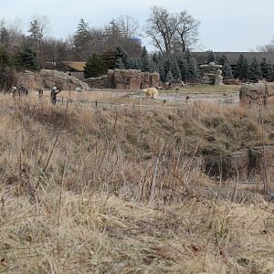 Detroit Zoo - Arctic Ring of Life