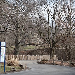 Detroit Zoo - Great Apes of Harambee exhibt in background