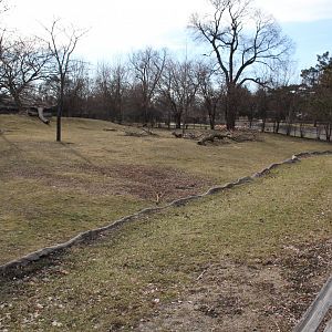 Detroit Zoo - (South) American Grasslands