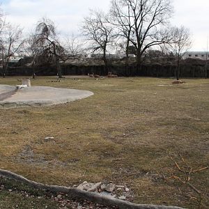 Detroit Zoo - (South) American Grasslands