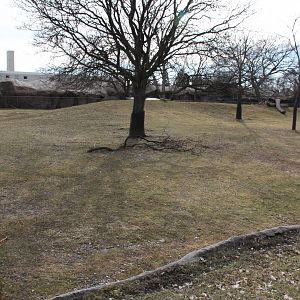 Detroit Zoo - (South) American Grasslands