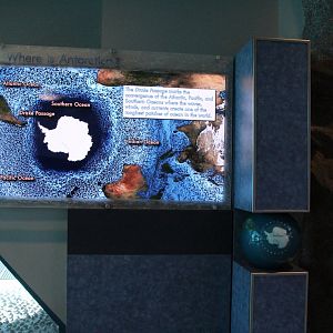 Detroit Zoo - Polk Penguin Conservation Center