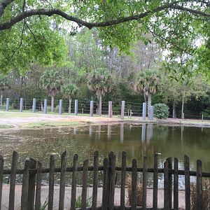 Elephant Plaza- African Elephant