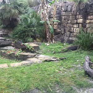 Range of the Jaguar- Jaguar