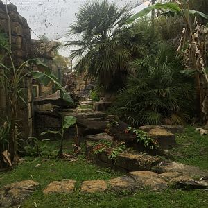 Range of the Jaguar- Jaguar