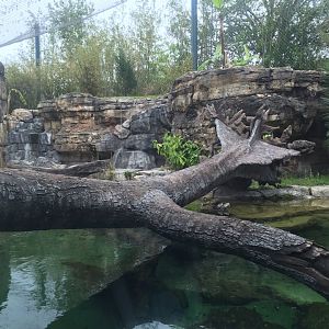 Range of the Jaguar- Jaguar